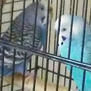 Meet your Posher, Lidia